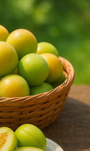 매실장아찌 담그는법