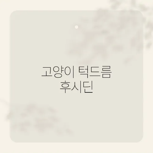 고양이 턱드름 후시딘, 반려묘 피부 고민, 후시딘으로 관리하는 효과적인 방법
