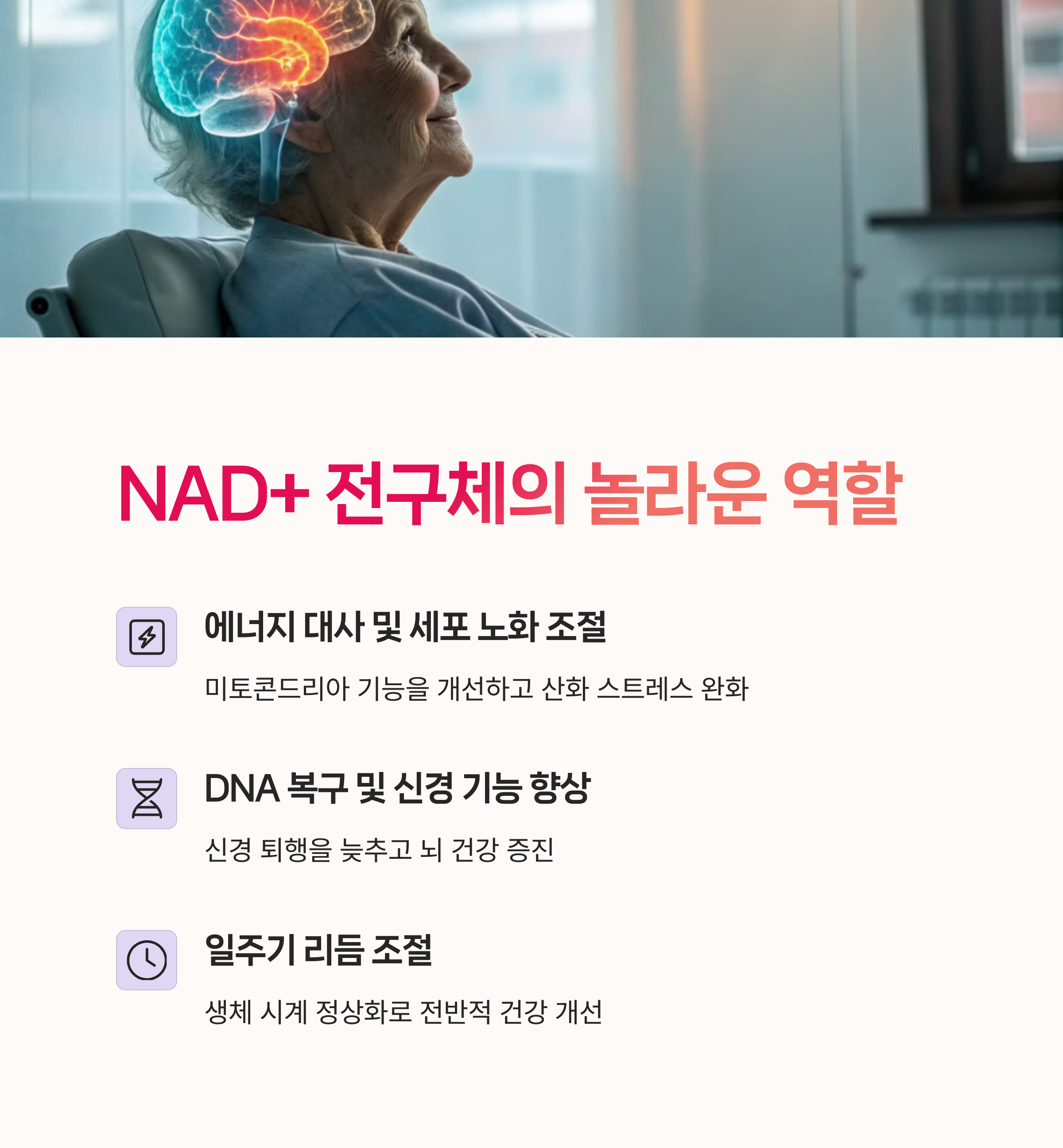 수면질향상, 인지기능,