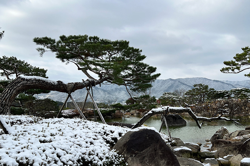 특색 있고 아름다운 민간 정원 30선 추천 여행 - 15. 구례 반야원 & 플라타너스