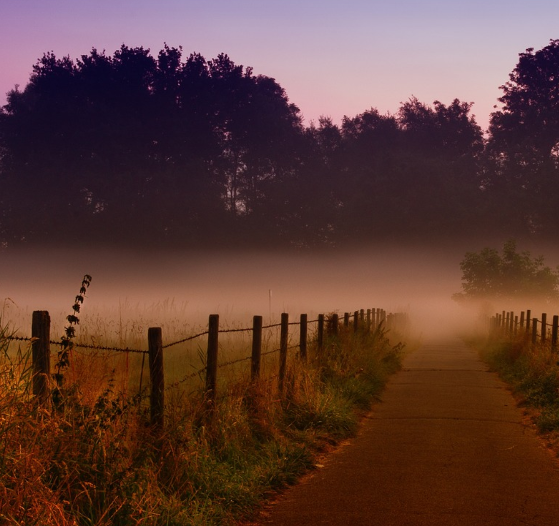 울타리 경계 이미지