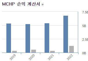 마이크로칩 테크놀로지 손익계산서