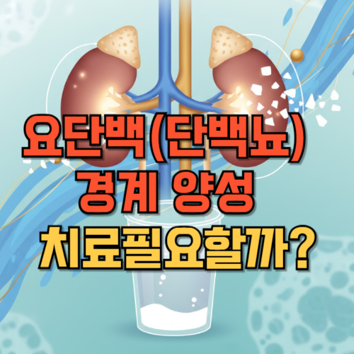 요단백(단백뇨) 경계 양성