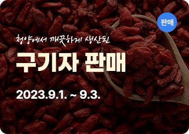 청양고추구기자축제