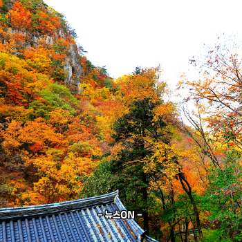 11월 가볼만한 산