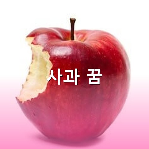 한입-베어먹은-빨갛고-탐스러운-잘익은-유기농-사과