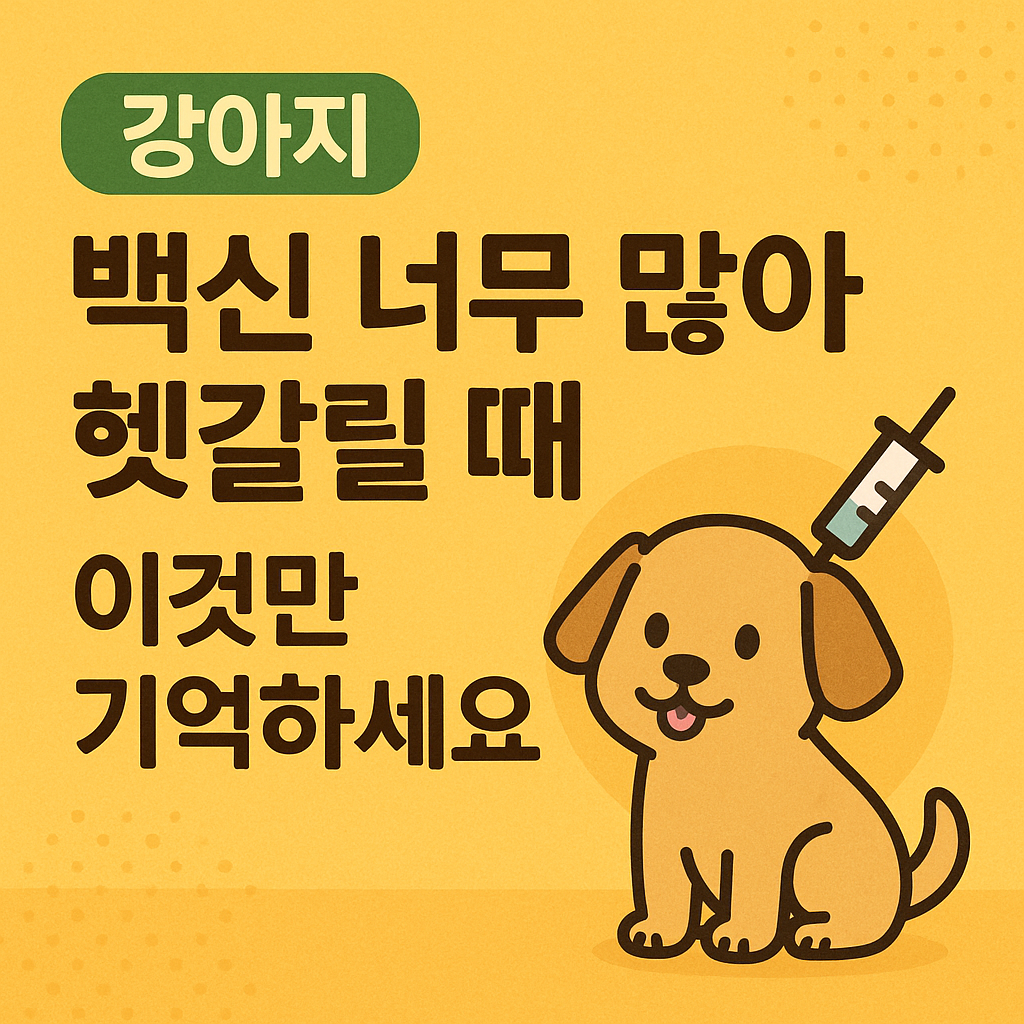 강아지 백신 이지미 사진