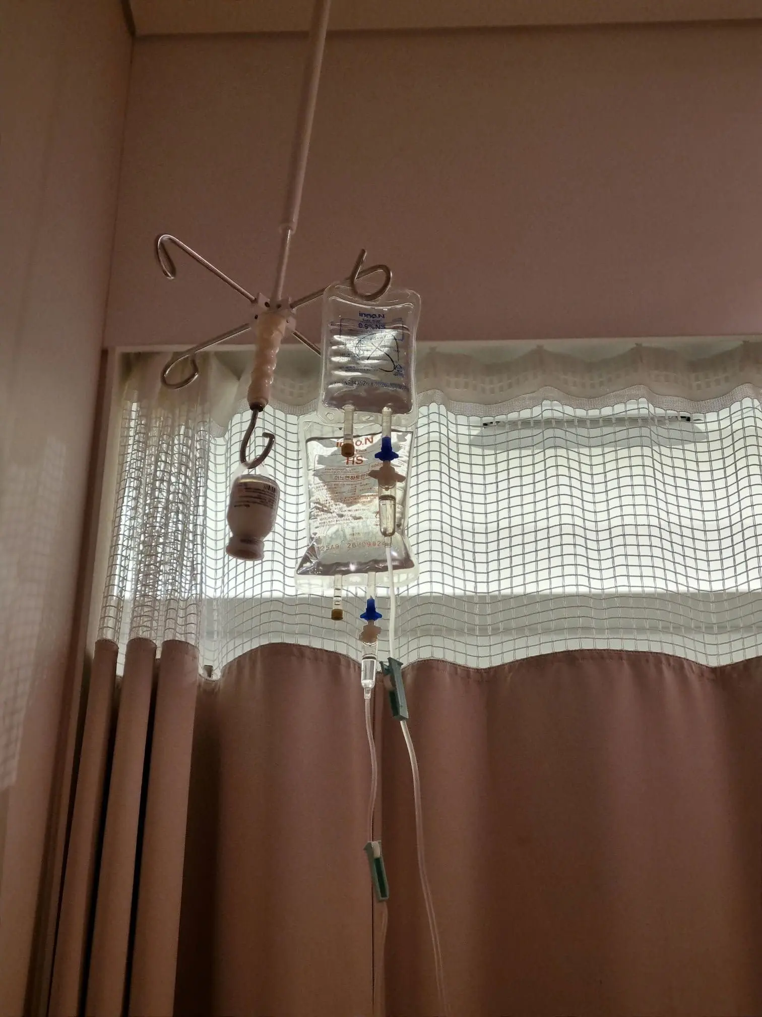 평촌마리아 채취