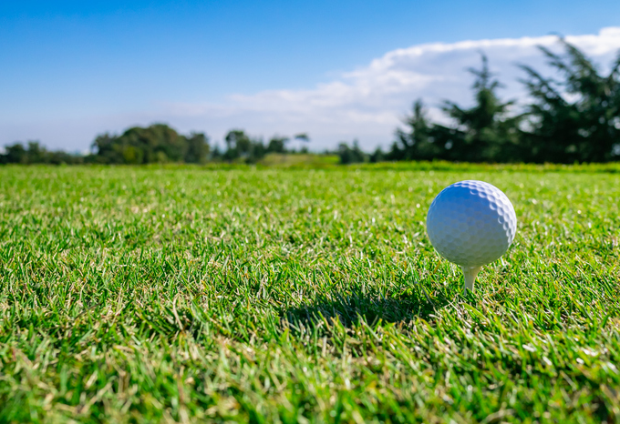 요즘 인기 파크골프 룰이해하기 (규칙, 매너, 벌칙)