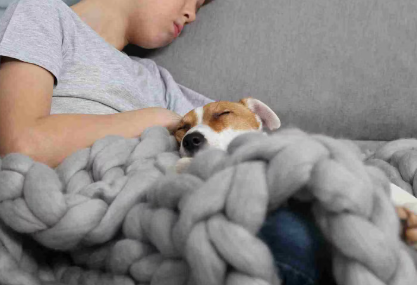 개가 주인의 배 위에서 자는 이유.