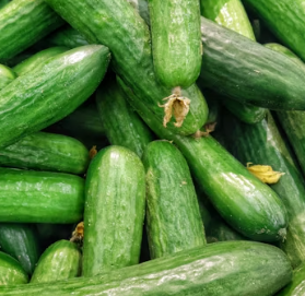 두통에 좋은 음식 영양제 식단