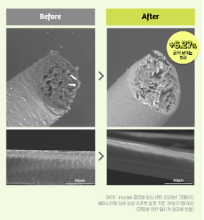 그래비티 샴푸 구매하기 종류 가격 판매처 홈쇼핑