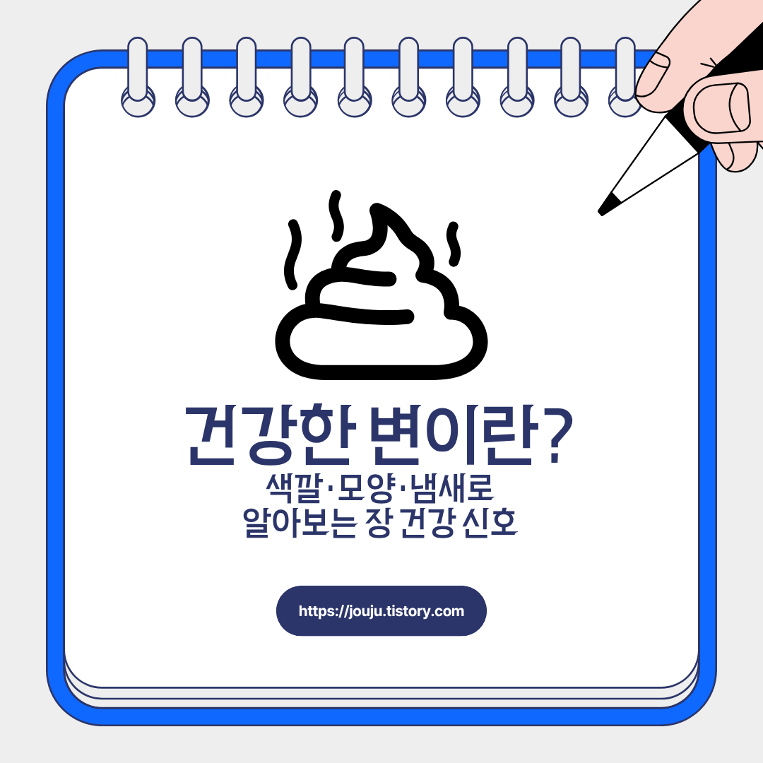 건강한-변-정상-색깔-대변-모양-장-건강-신호-변비-해결-방법-설사-원인-음식-브리스톨-변상-척도-습관
