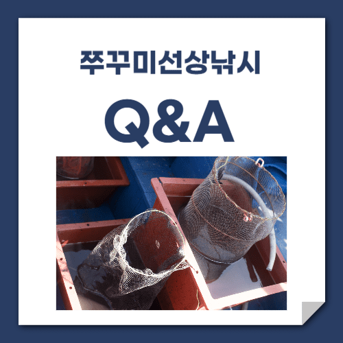 쭈꾸미선상낚시 질응답