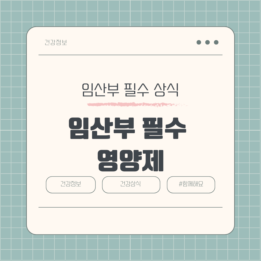 임산부를 위한 필수 영양제 7가지