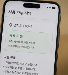 사용 가능 지역