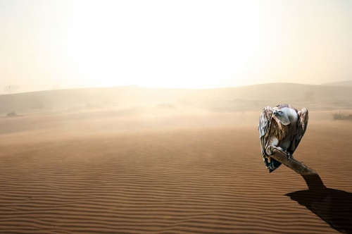 IRP계좌 만들기&amp;#44; 만드는 방법 알아보기