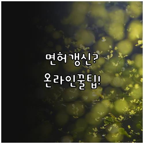 1종 2종 운전면허 갱신 온라인으로 ..