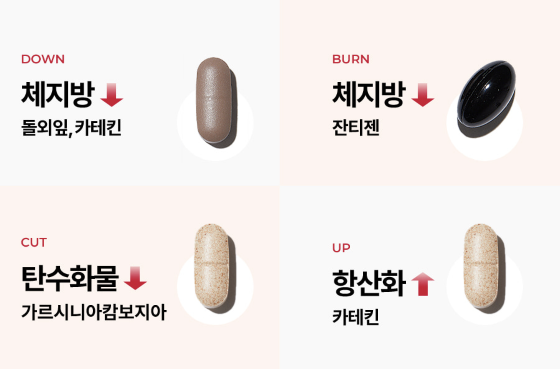 버닝올로지의 한포 안에 들어있는 내용물.