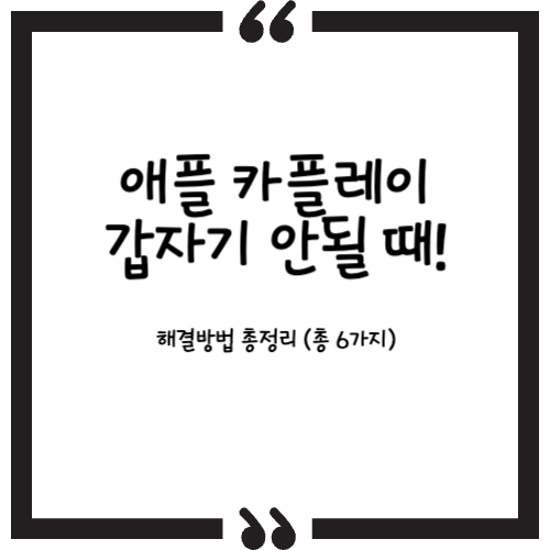 애플 카플레이 이슈