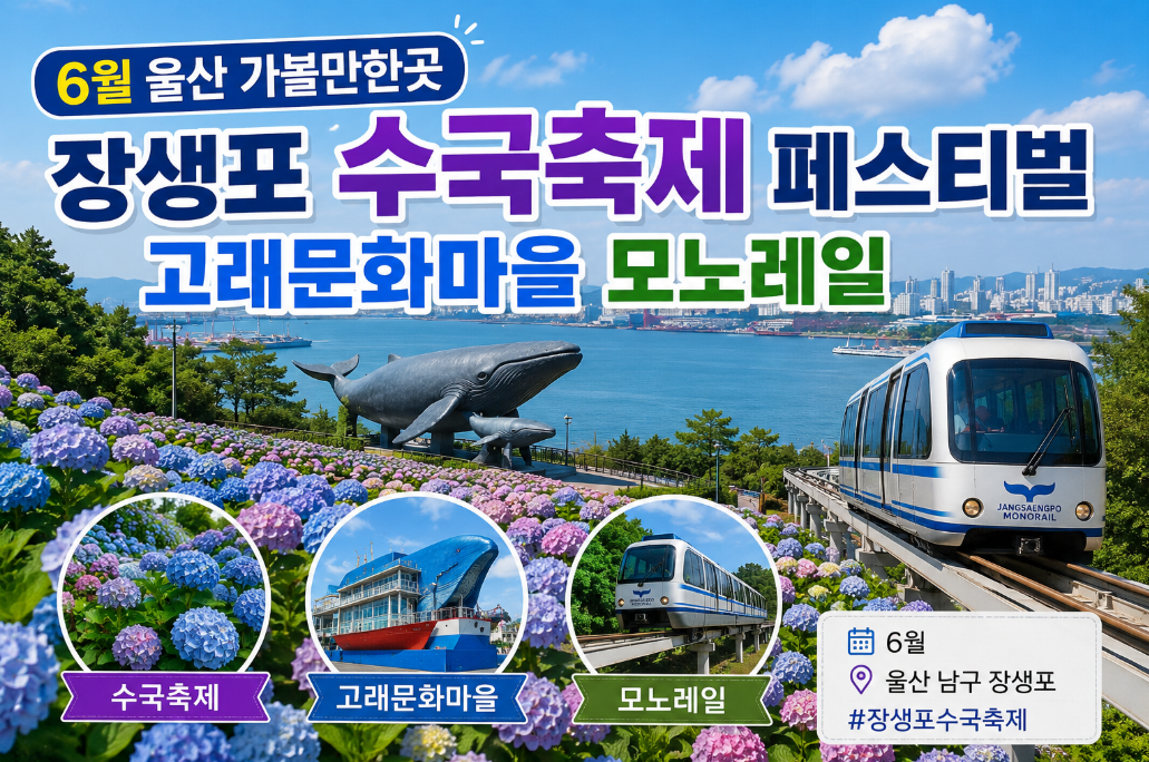 6월 울산 장생포 수국축제, 일정 및 방문 전 이것만 알면 끝