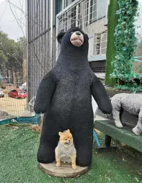 카페 101 파크뷰