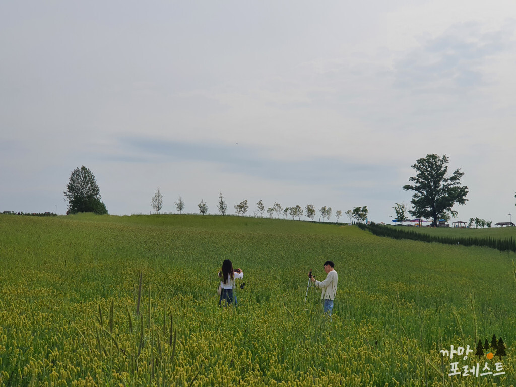 안성 팜랜드 데이트