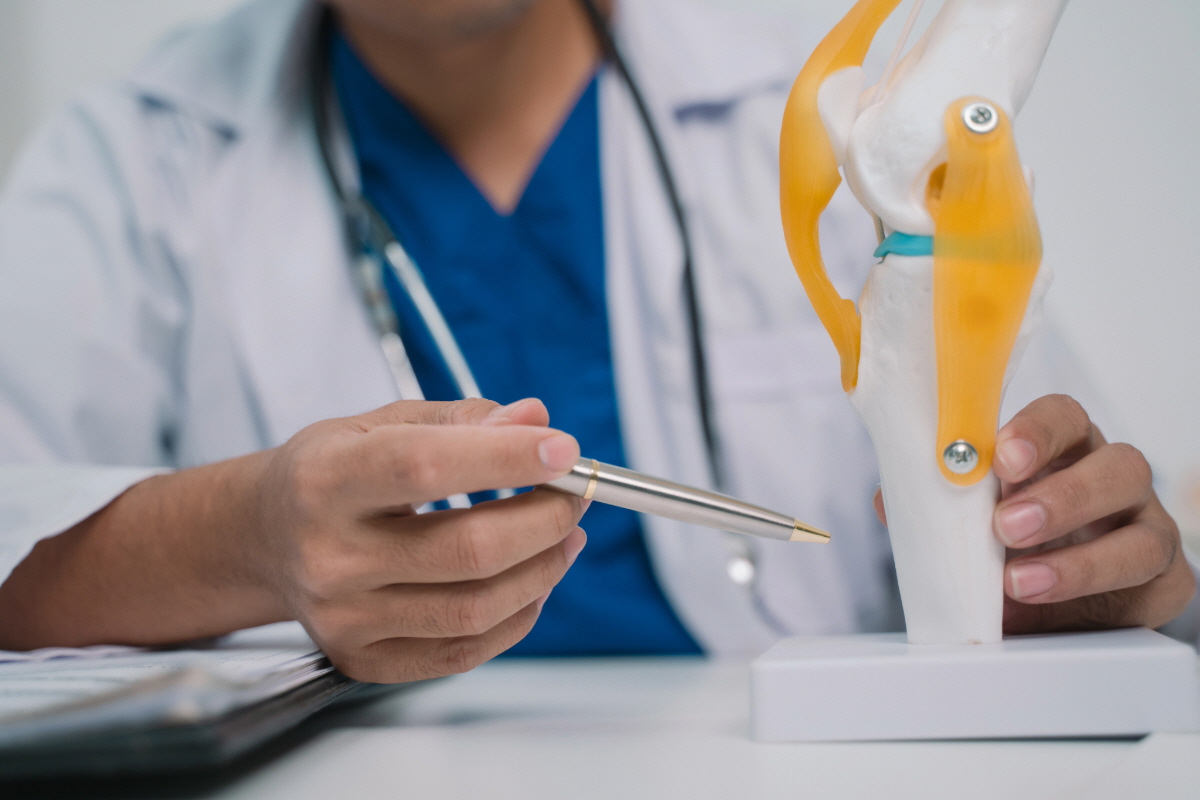 보스웰리아 효능