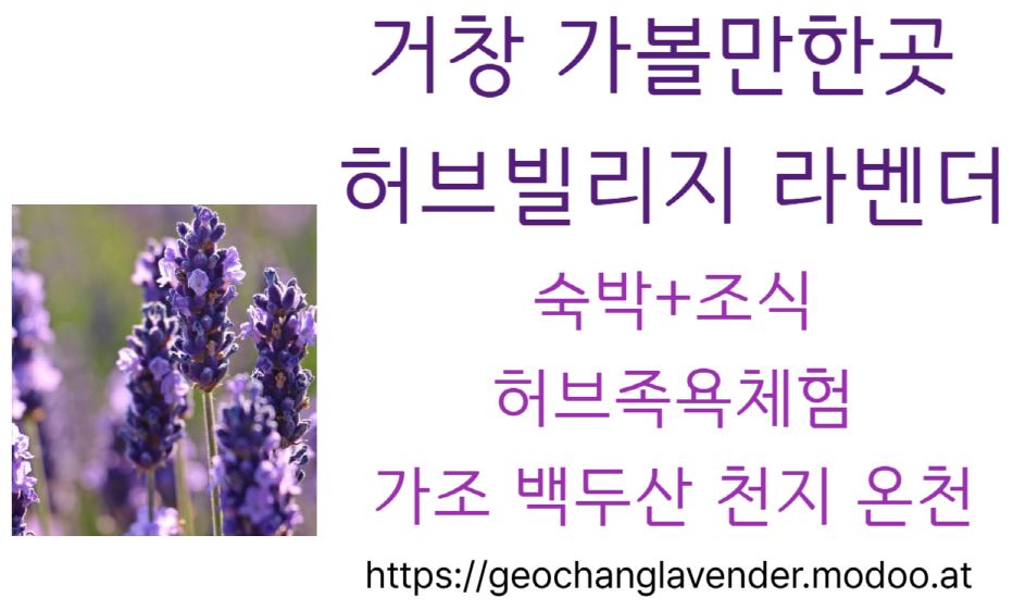 거창 가볼만한곳 허브빌리지 라벤더
숙박+ 조식, 허브족욕체험, 가조 백두산천지 온천