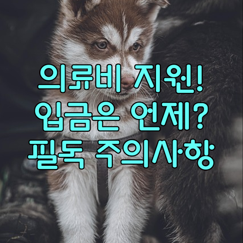 충청북도 반려동물 의료비 지원금 계좌..
