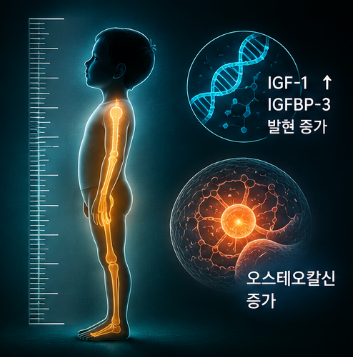 한삼덩굴추출물-효능-먹는방법-부작용-추천-분말-영양제