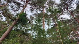 태안 추천 관광지 베스트10 관련 사진