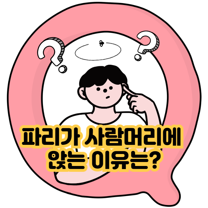 여름철 파리 행동 탐구 - 왜 파리는 사람 머리에 앉을까?