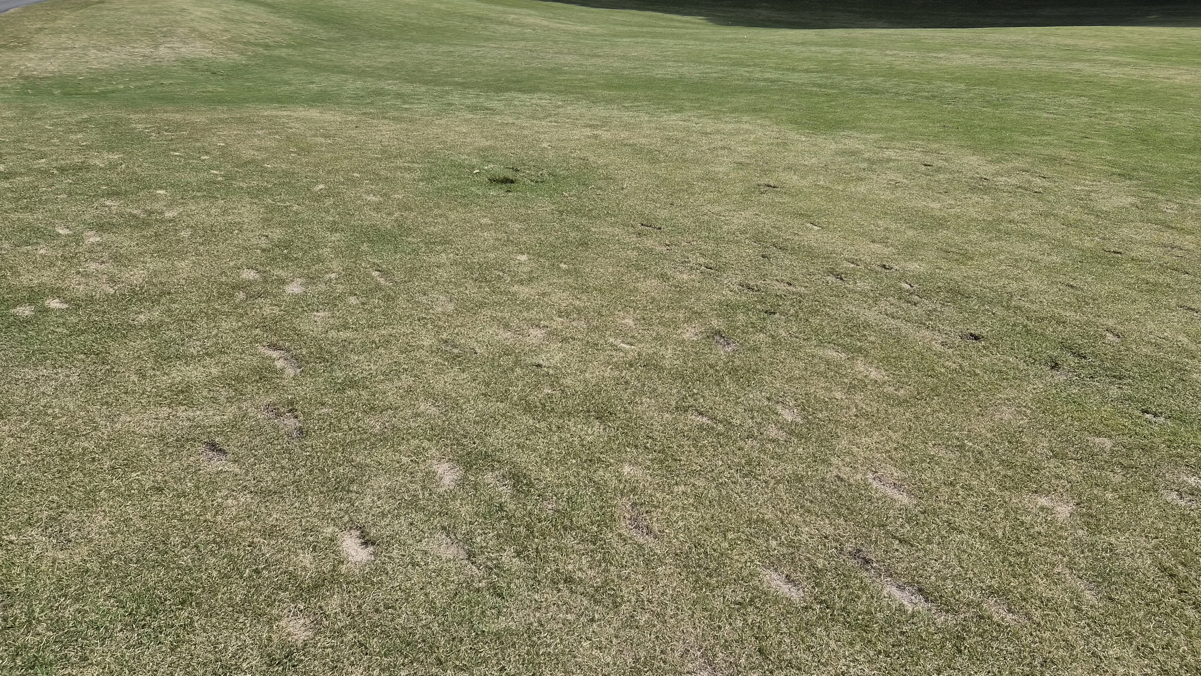 포웰cc 프린세스 라운드 후기