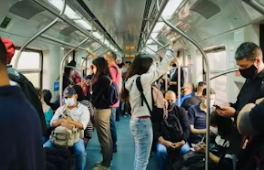 고령운전자 운전면허증 자진반납