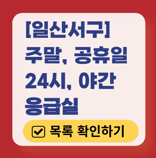 고양시 일산서구 응급실 운영 병원 리스트 ❘ 주말, 토요일, 일요일, 공휴일 응급의학과 ❘ 24시 야간 응급진료 가능한 곳