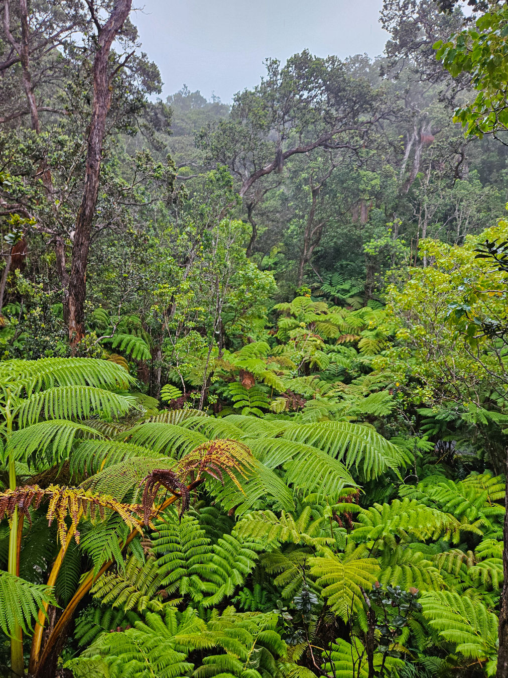서스톤 용암 동굴 입구