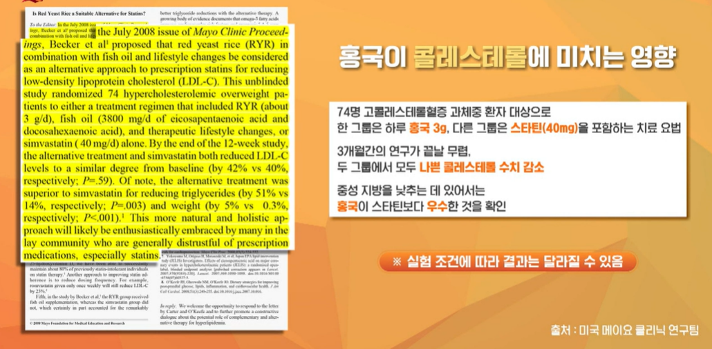 발효 홍국 효능