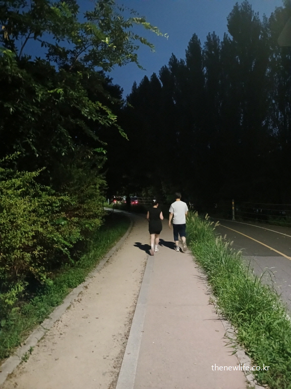 야간 산책로에서 중급자가 꾸준히 30분 이상 슬로우 조깅을 이어가는 모습