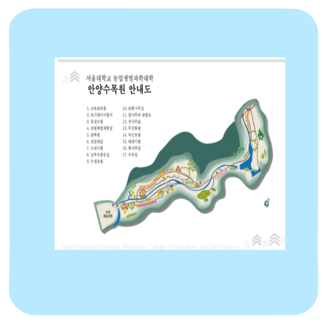 서울대 안양수목원 후기(위치 운영시간 주차장) : 예약 없이 즐기는 서울 근교 힐링 산책 코스