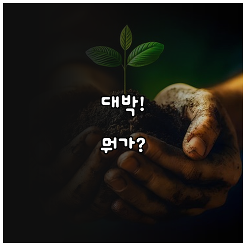 청년도약계좌 vs 청년미래적금 뭐가 ..