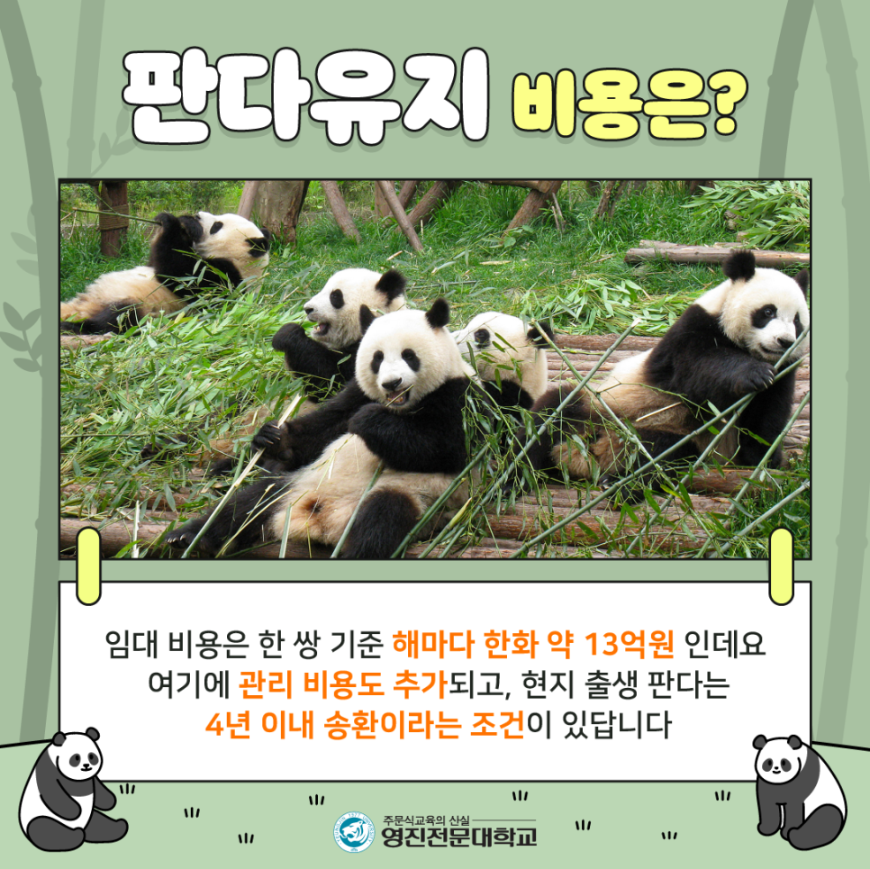 푸바오 반환