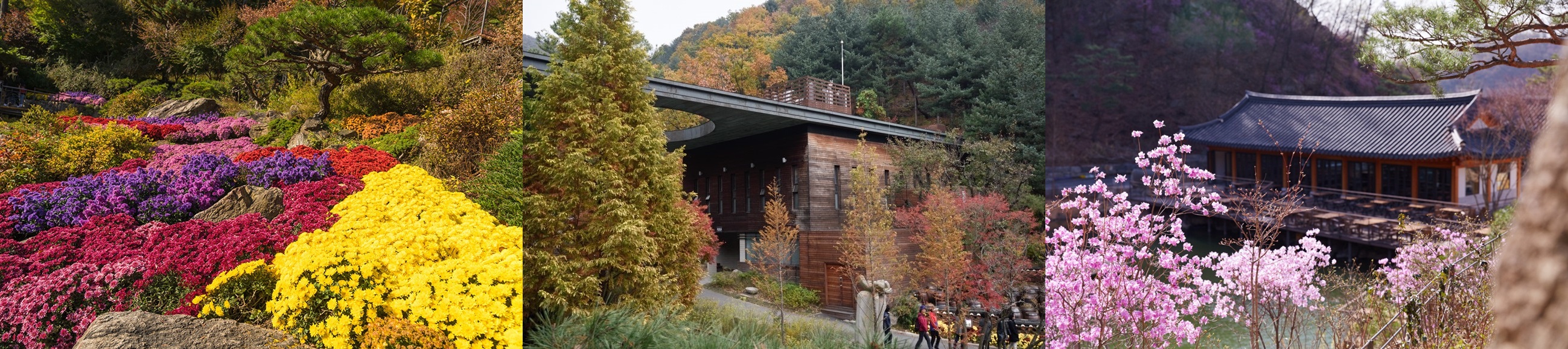 화담숲 홈페이지