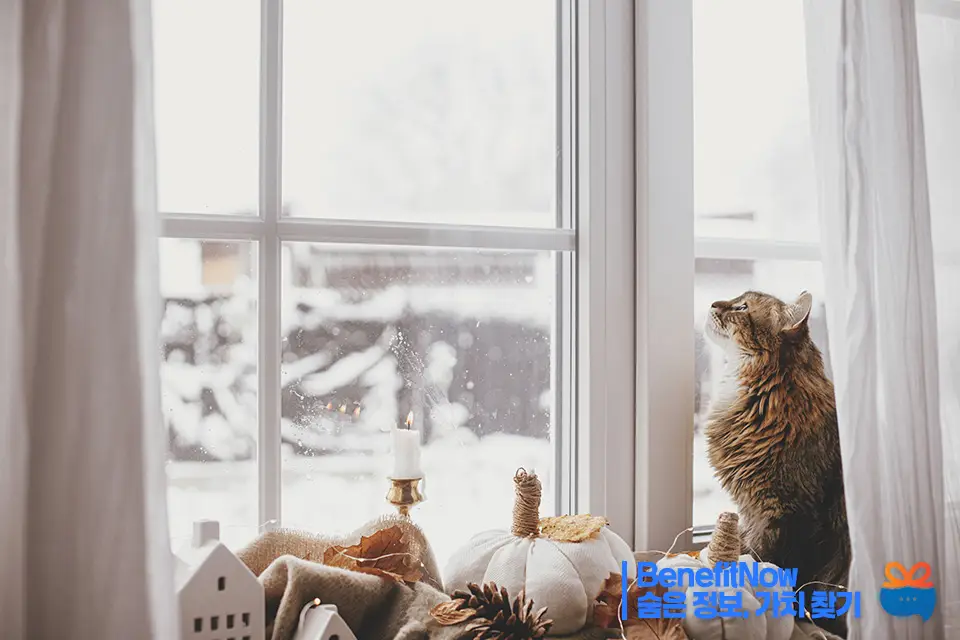 에너지 바우처 신청방법