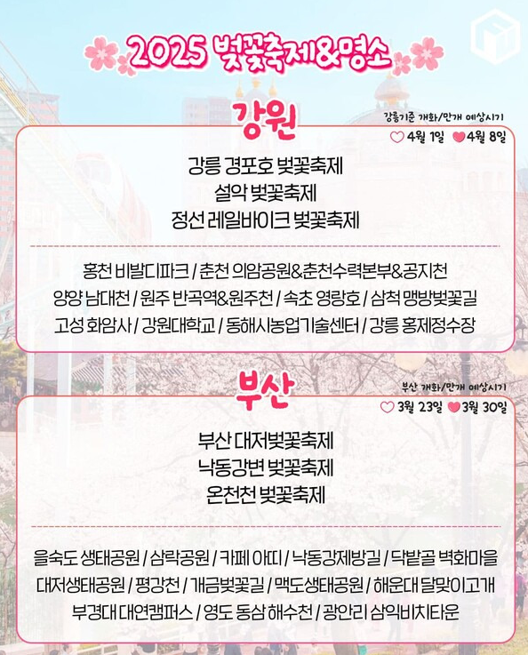 벚꽃 만개 시기 포스터