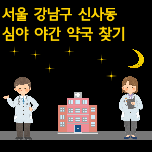 서울 강남구 신사동 심야 야간 24시 약국 찾기