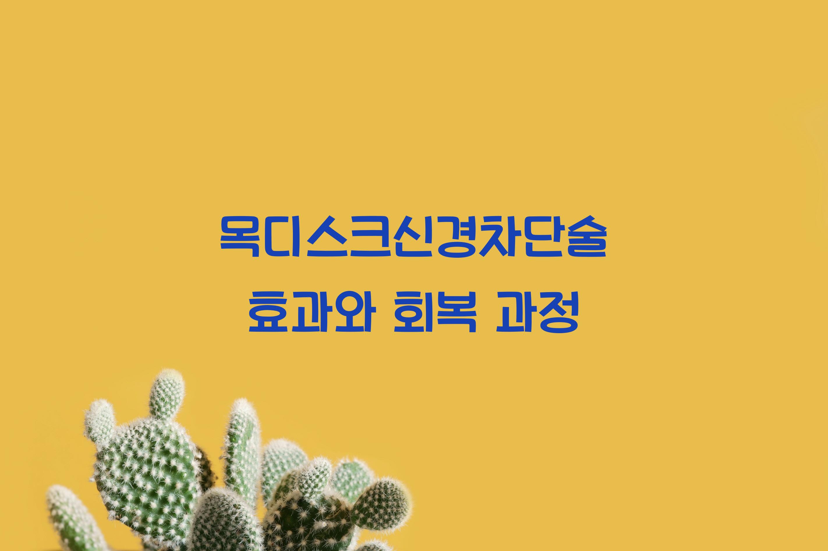 목디스크신경차단술
