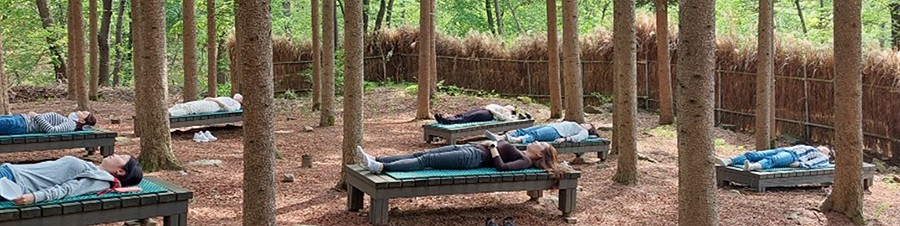 숲치유-프로그램