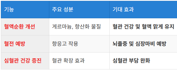 혈액순환 촉진과 심혈관 건강