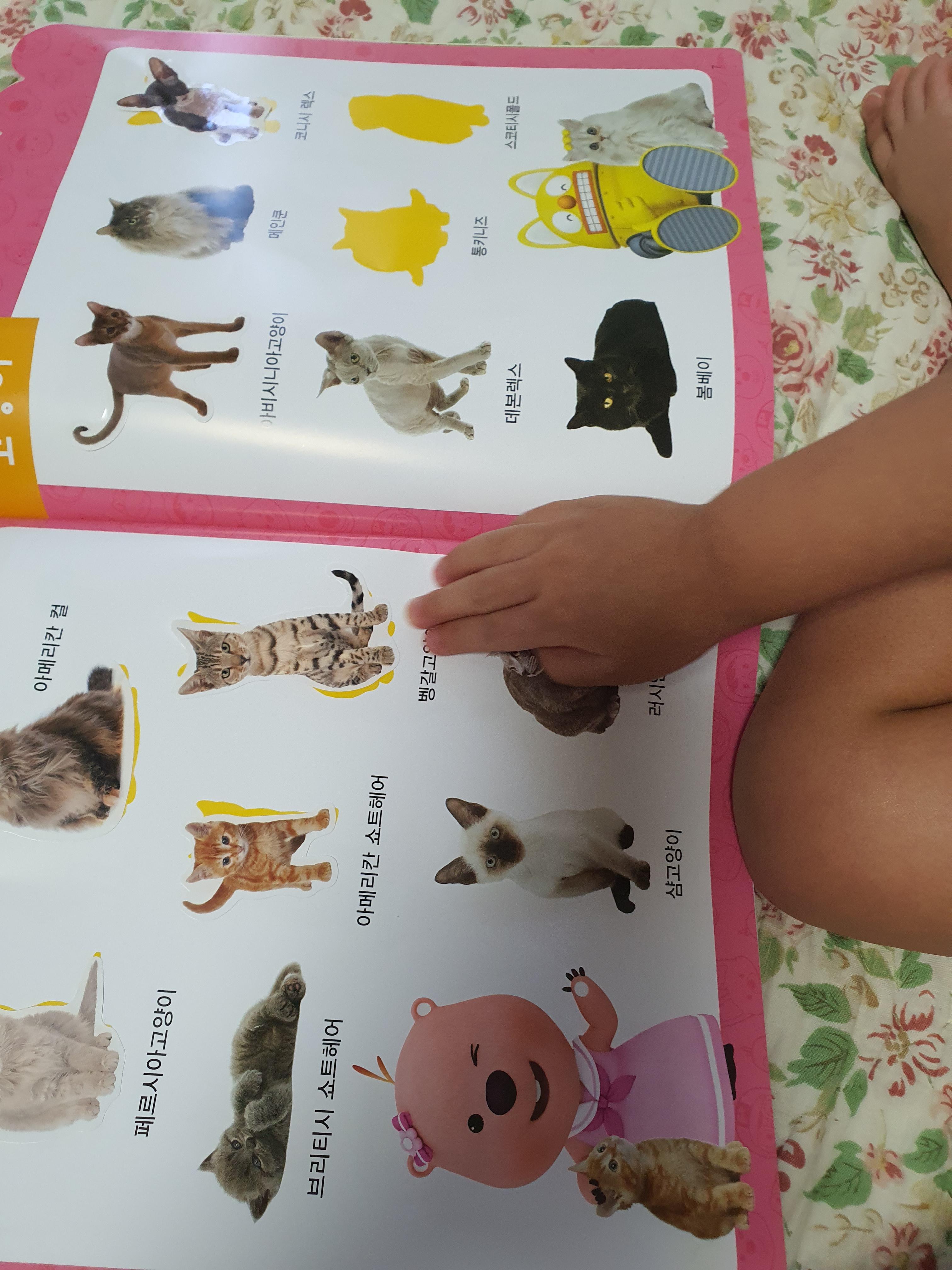 다이소에서-스티커북을-샀어요.